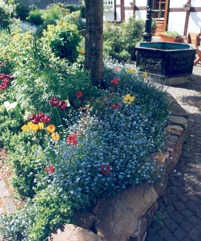 Ferienhaus Westerwald Garten